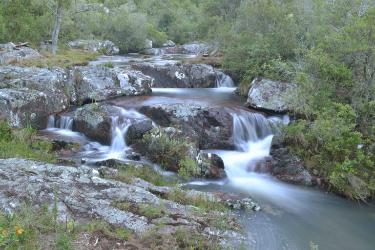 Senderismo por Tao y paraje El León