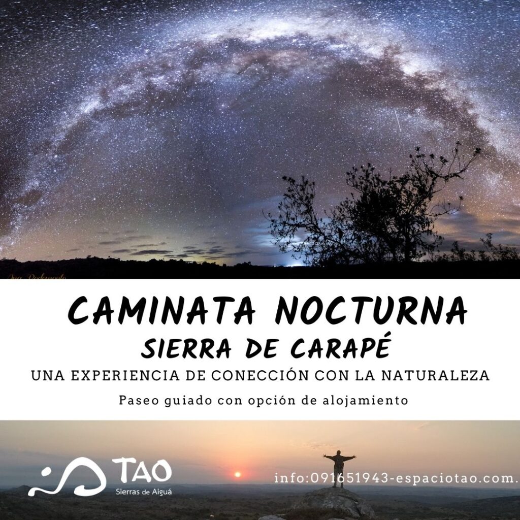 Caminata Nocturna