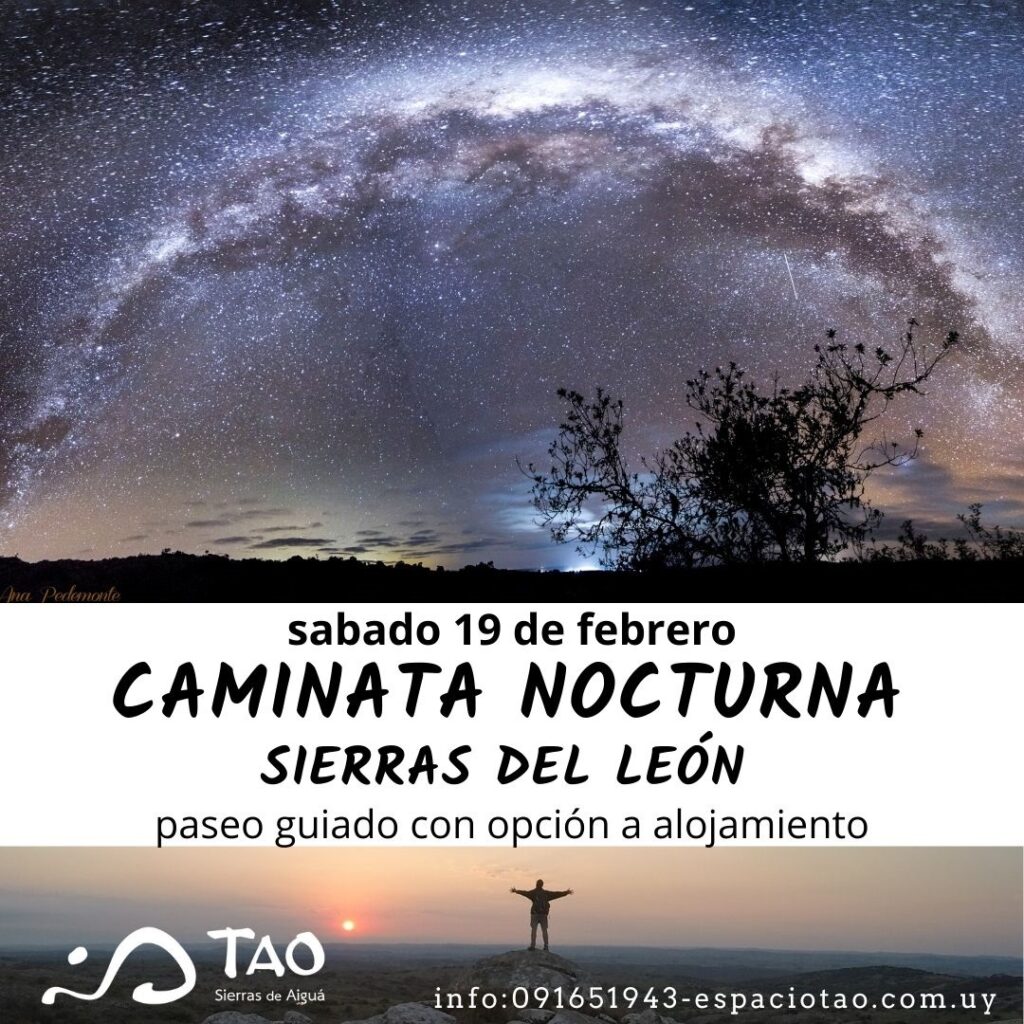 Caminata Nocturna
