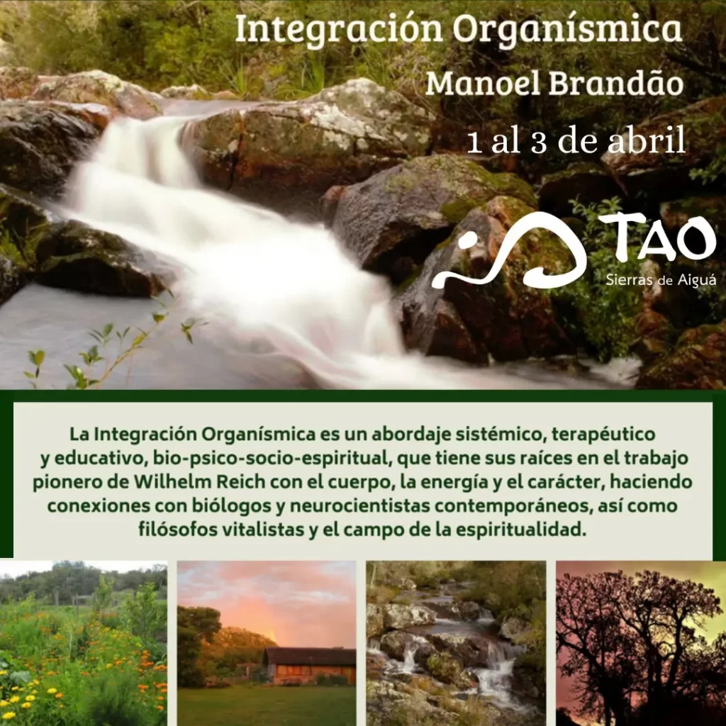 Integración Organísmica