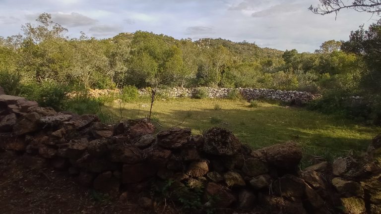 Camping — foto 5
