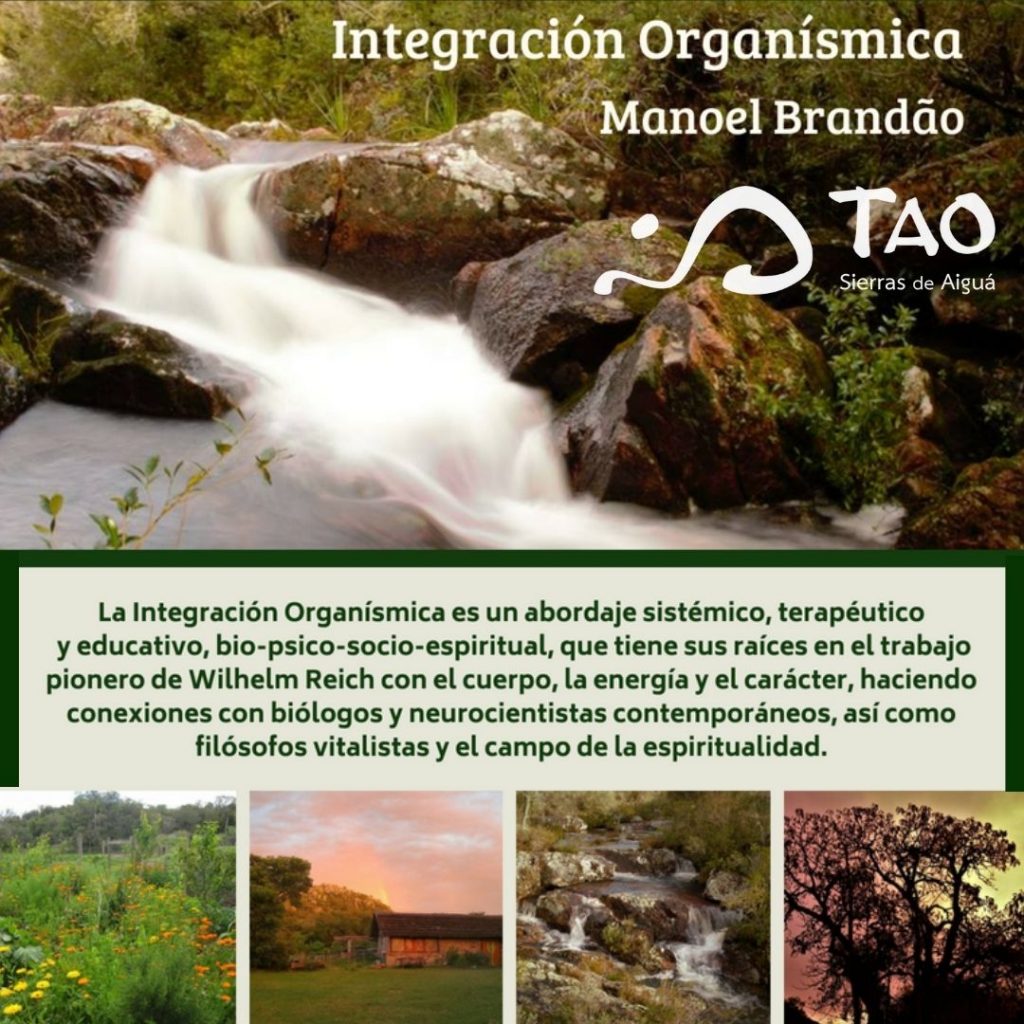 Integración Organísmica
