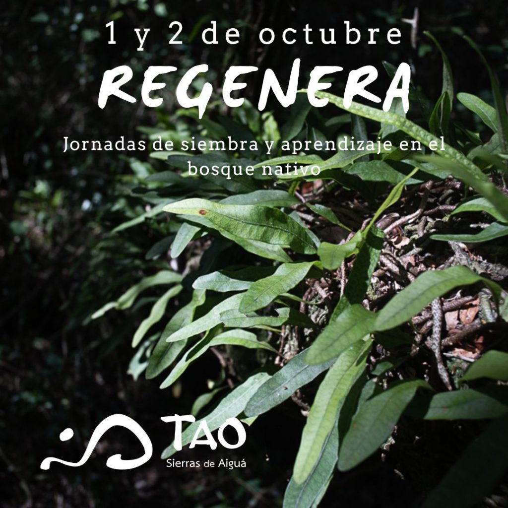 Regenera