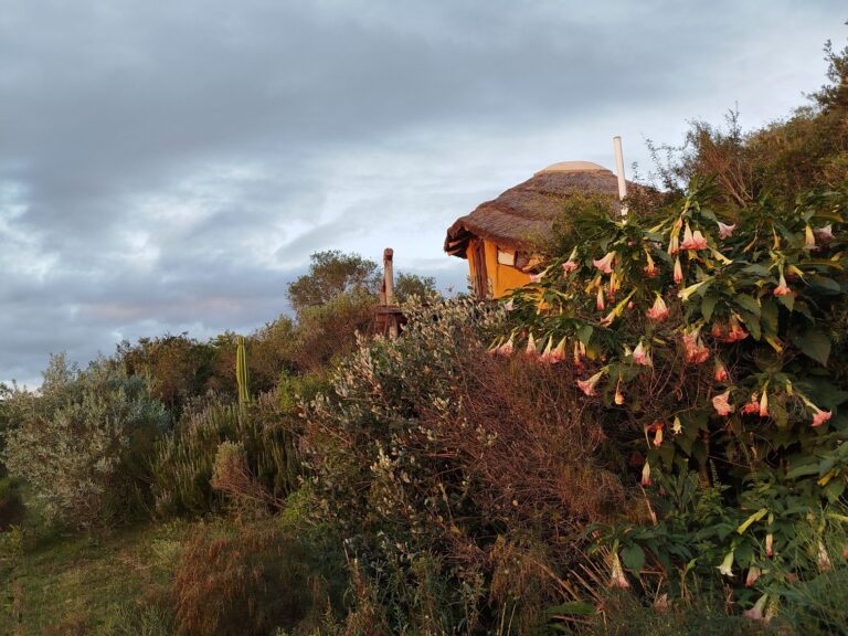 Cabaña de la Luna — foto 4